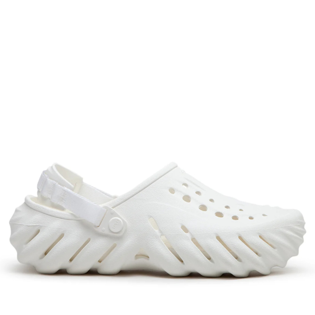 echowhite1