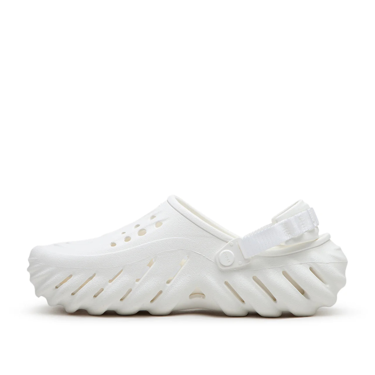 echowhite3